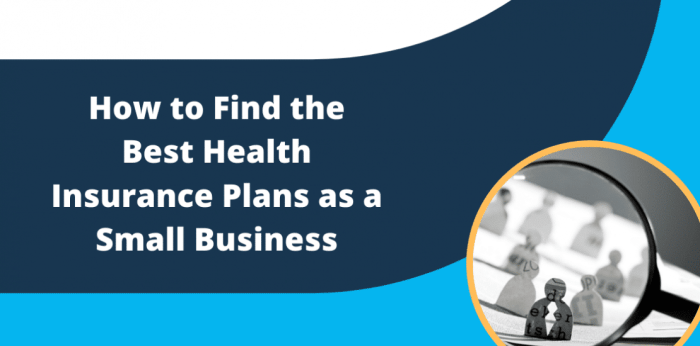 How to Find the Best Health Insurance Plans as a Small Business - SolveHR
